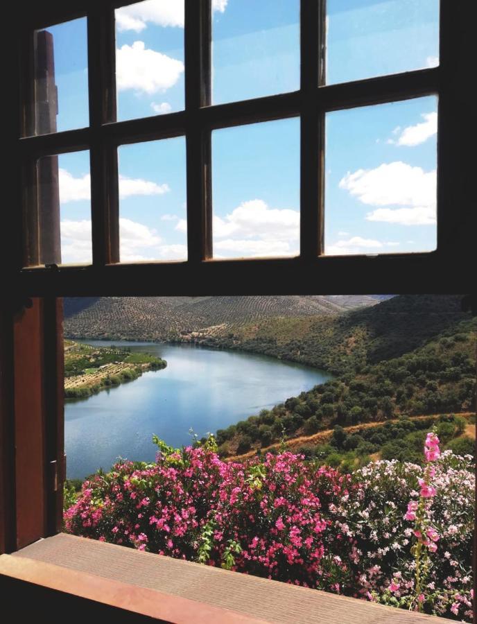 Villa Auri Vila Nova de Fozcoa Luaran gambar
