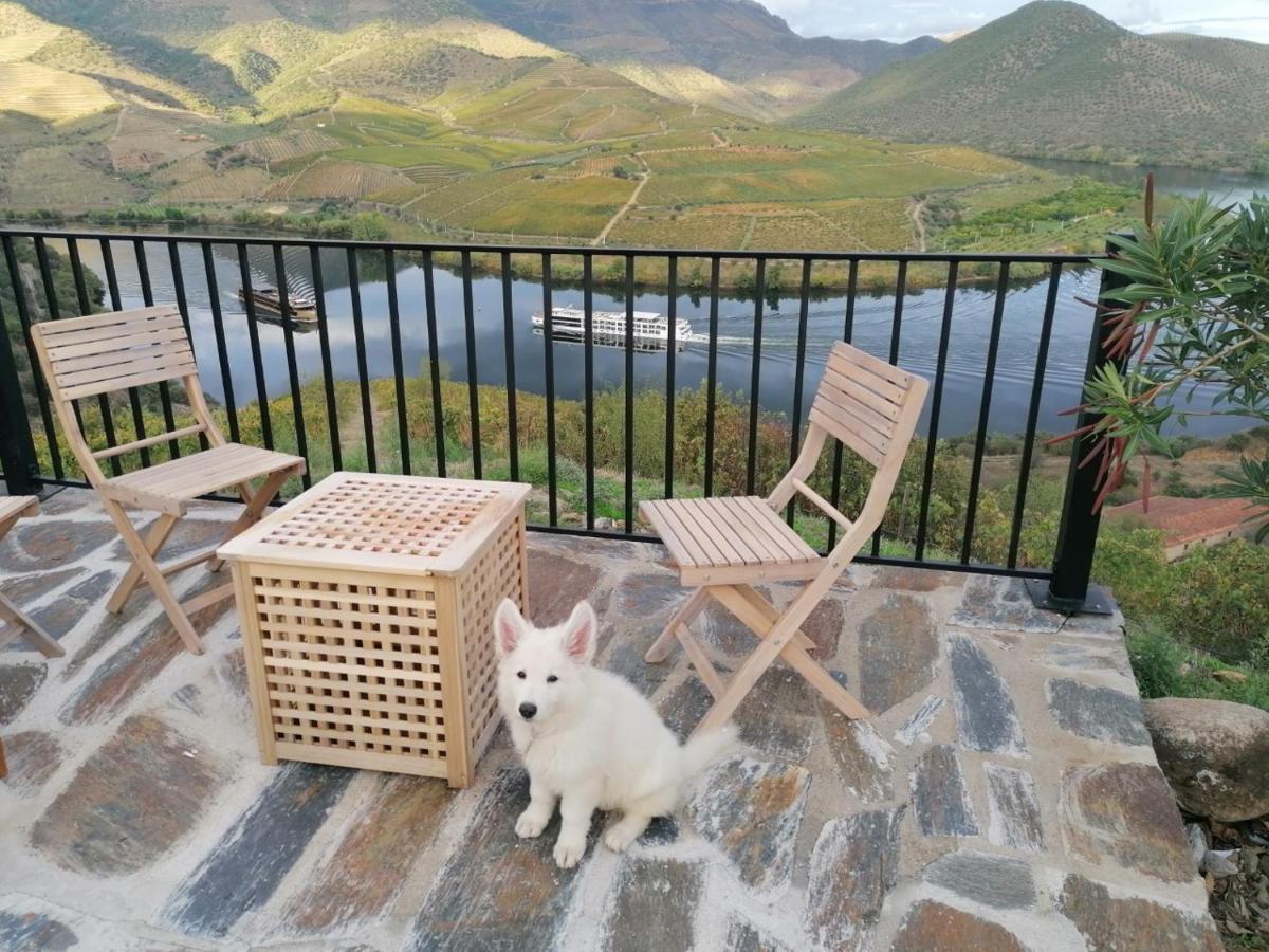 Villa Auri Vila Nova de Fozcoa Luaran gambar
